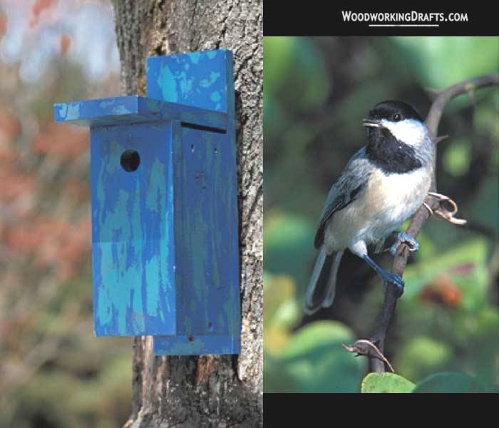 28 Black Capped Chickadee Bird House Finished Design