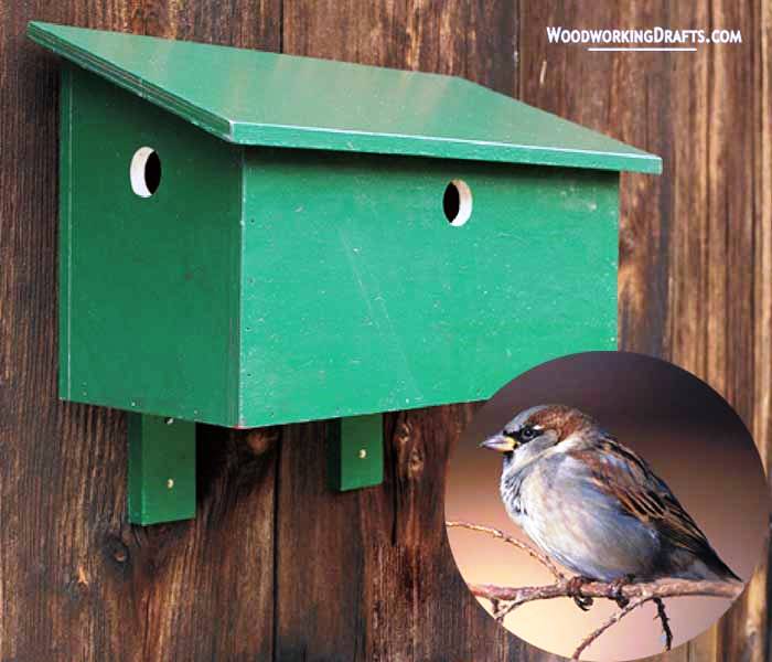 46 Sparrow Bird House Finished Design