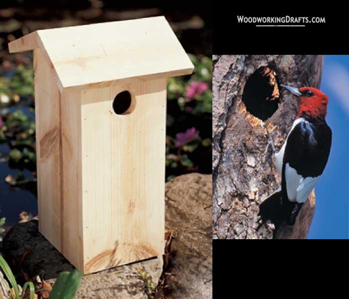 82 Woodpecker Bird House Finished Design