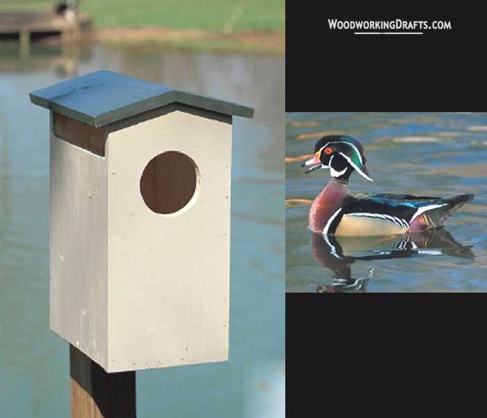 94 Wood Duck Bird House Finished Design