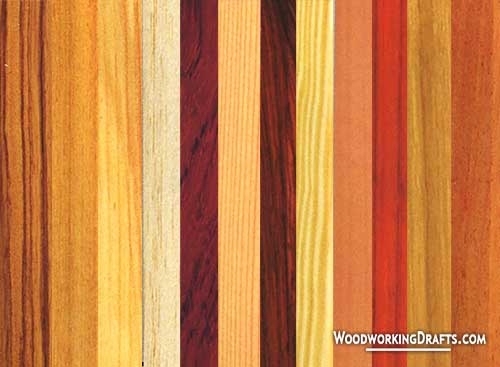 best wood types for woodworking