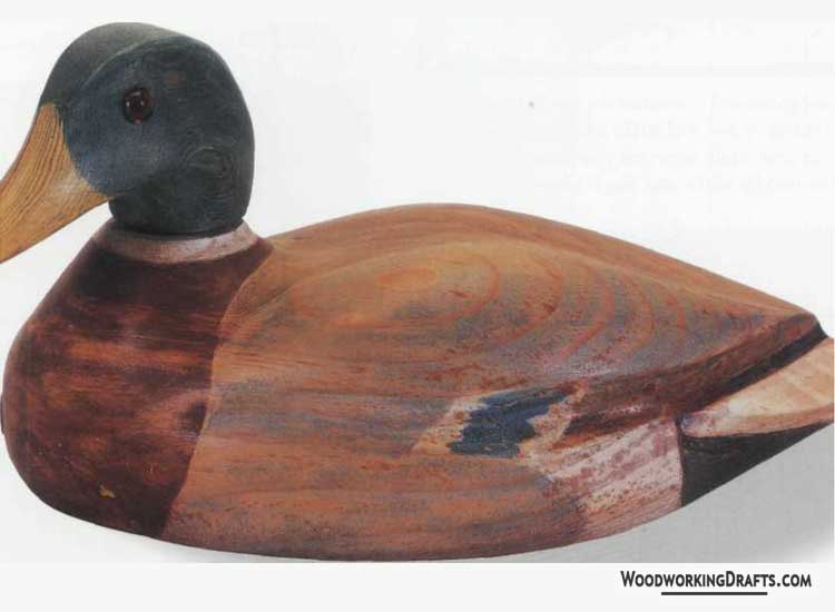 Wooden Duck Decoy Plans Blueprints 00 Draft Design