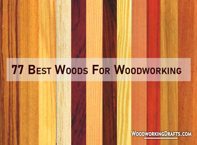 01 Best Wood Types For Woodworking
