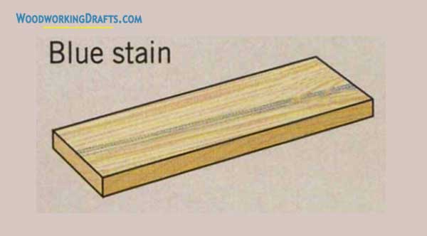 14 Blue Stain Lumber Defect